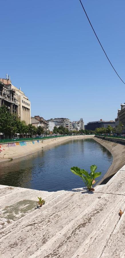 Mary Central Appartaments Bükreş Dış mekan fotoğraf